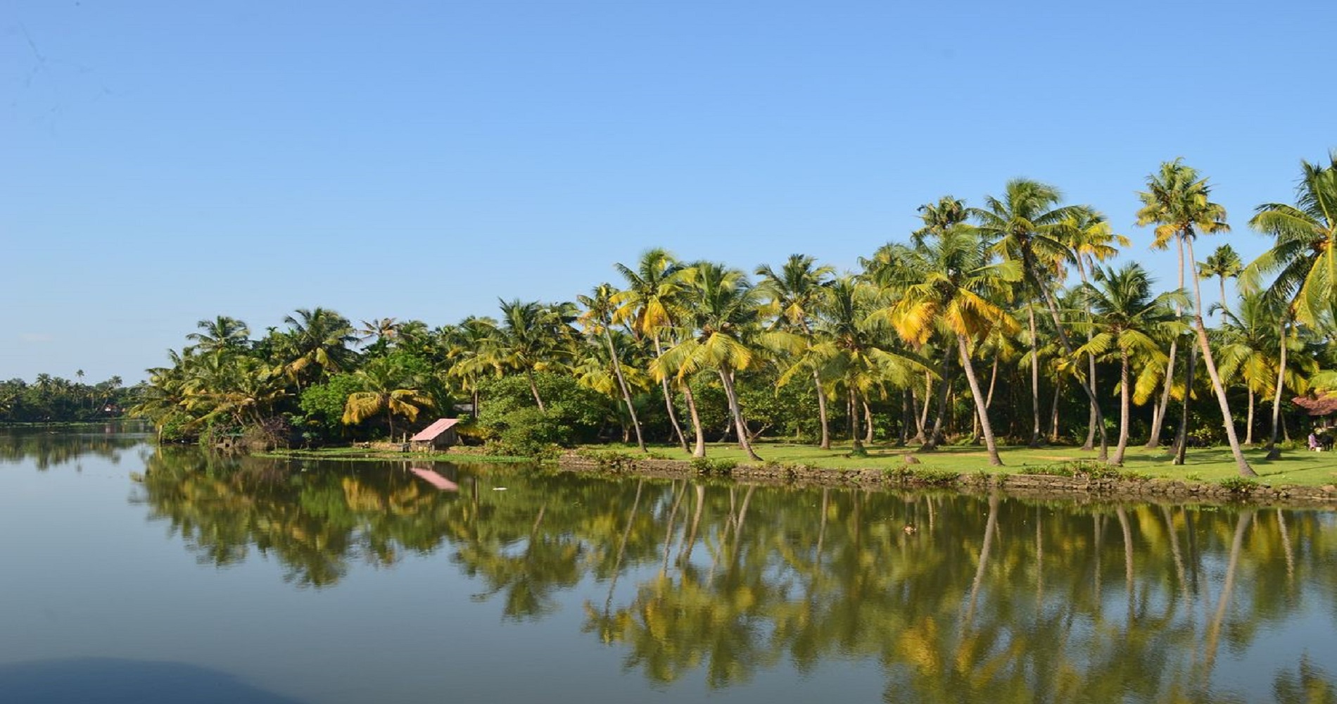 Background Image - India - Kerala