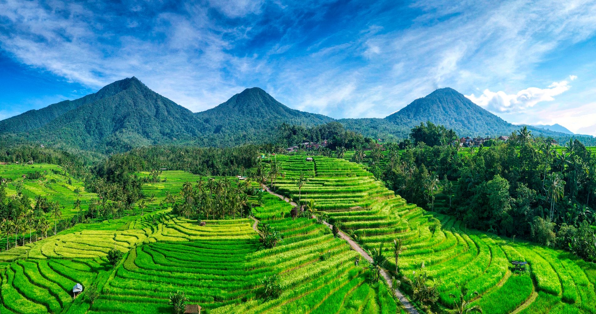 Background Image_Bali